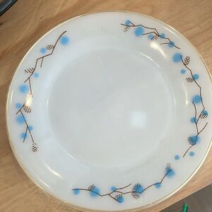 3 Termo Ray milk glass dinner plates.
